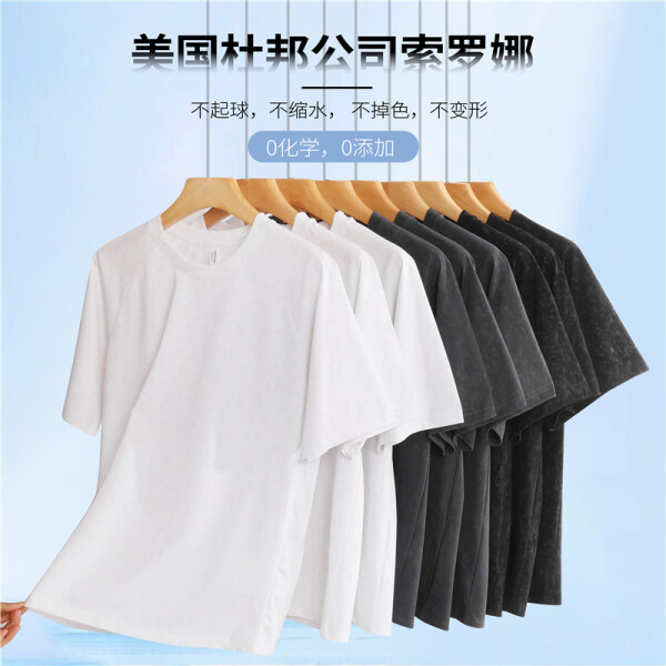 0905 2025年夏季索罗娜短袖T恤（无独立包装）